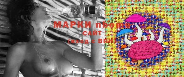 амф Алексин