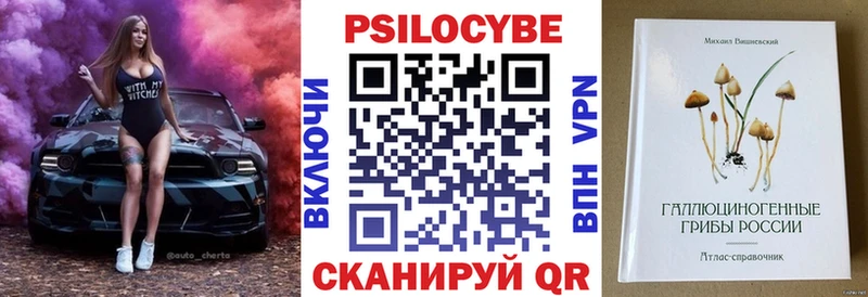 Псилоцибиновые грибы Cubensis  купить  сайты  мега маркетплейс  Апатиты 